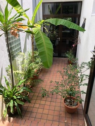 Villa Chancery (D11), Condominium #208336981